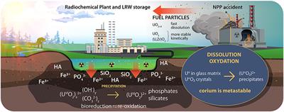 Speciation of Uranium and Plutonium From Nuclear Legacy Sites to the Environment: A Mini Review